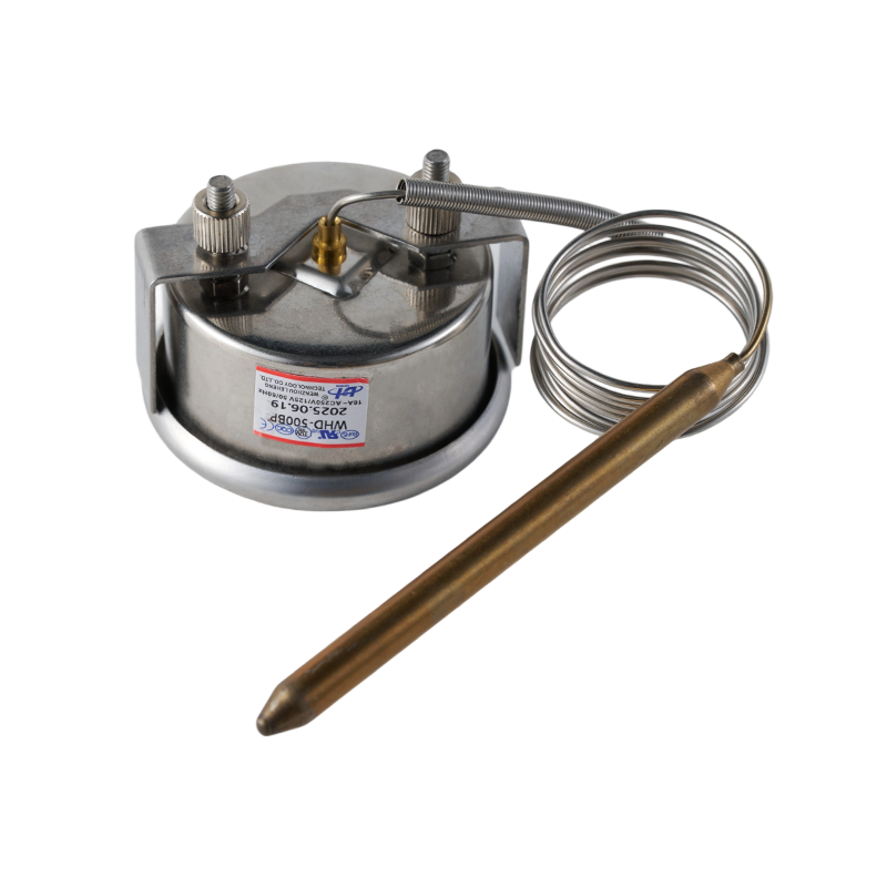 WHD-BP Paslanmaz Çelik Isıtma Sıcaklığı Sınırlayıcı